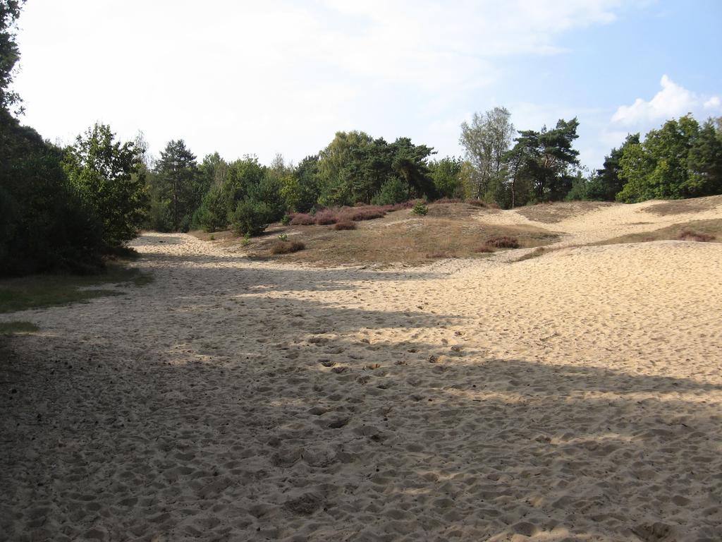Landhuisjes Bij De Wouterbron Opglabbeek Extérieur photo